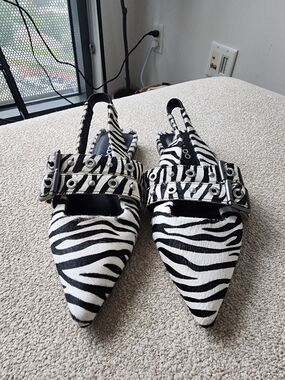 Aldo Zebra Print Pointed Slingback Flats with Buckle Detail - Black & White